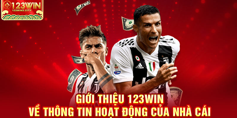 Giới thiệu cách hoạt động 123wins.city