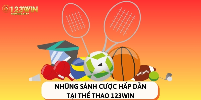 những sảnh cược thể thao có tại 123win