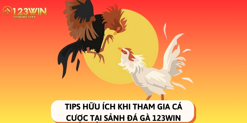 kinh nghiệm khi chơi đá gà 123win