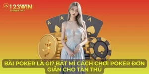 bài poker là gì?